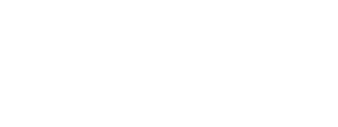Parka Software Co.